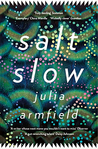 Salt Slow: From the author of OUR WIVES UNDER THE SEA von Picador